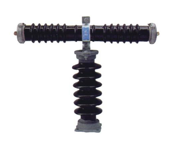 RW9(10)-35、RXWO-35型戶(hù)外高壓限流熔斷器